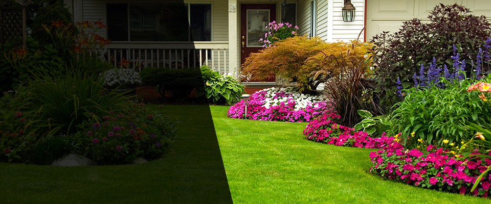 Watsonville Landscapers