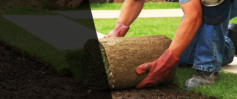 Watsonville Landscapers
